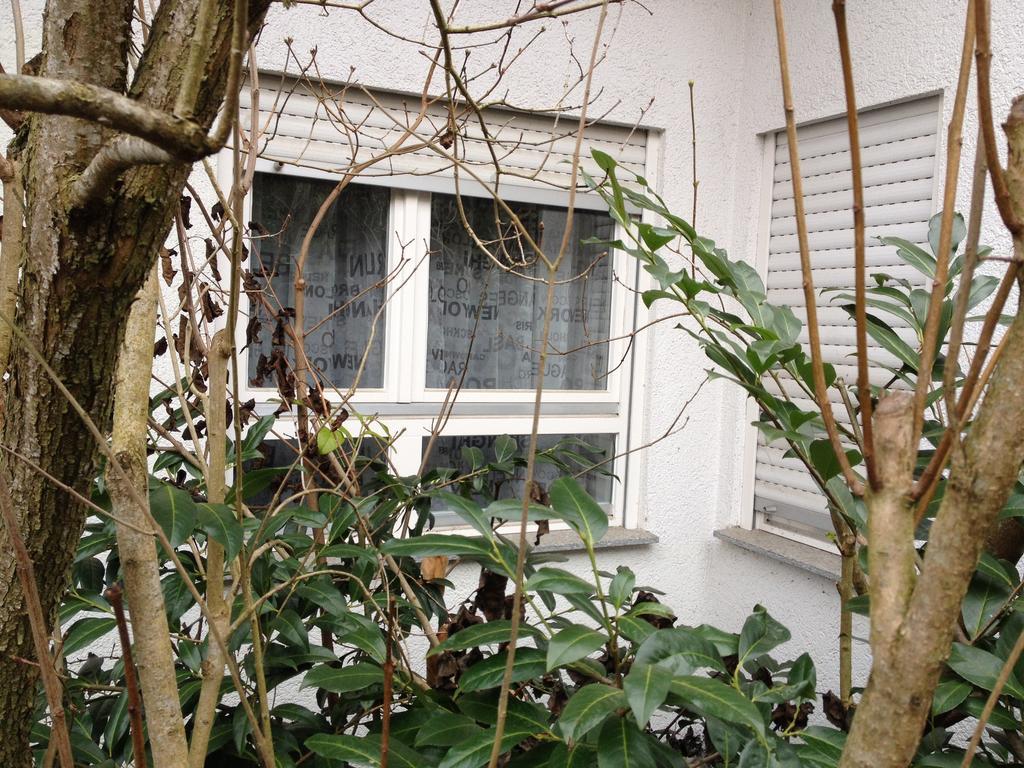 Gaestezimmer Bei Ingrid Τούμπινγκεν Εξωτερικό φωτογραφία